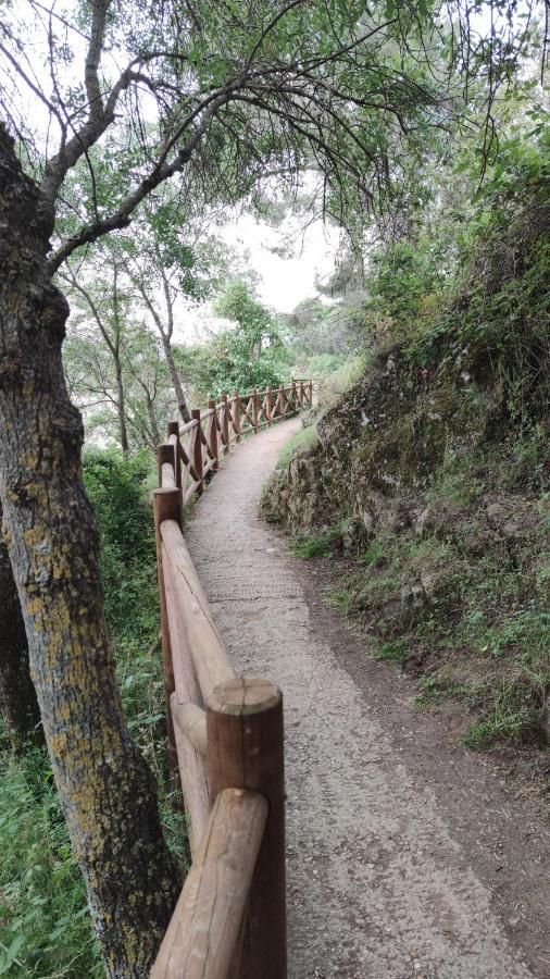 Puente Viejo De Buitrago Casa Encina Apartment Buitrago del Lozoya Bagian luar foto
